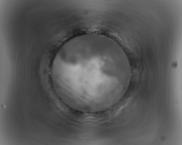 X0000103130913200808291312