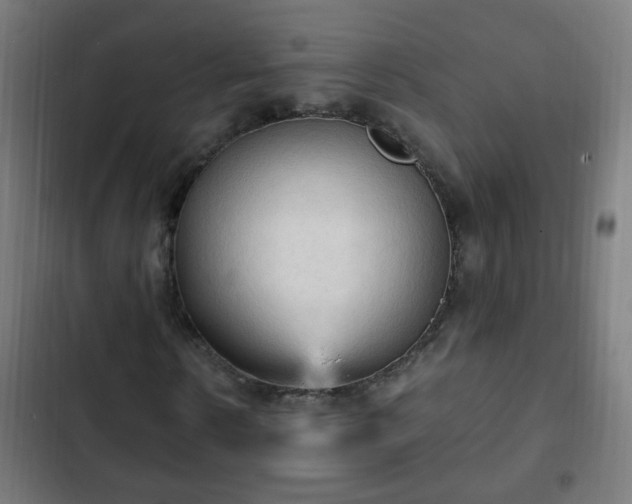 X0000103130914200808291312