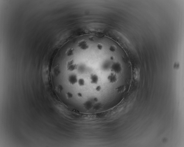 X0000103130915200808291312