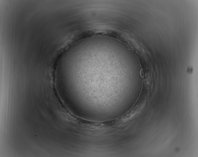 X0000103130916200808291312