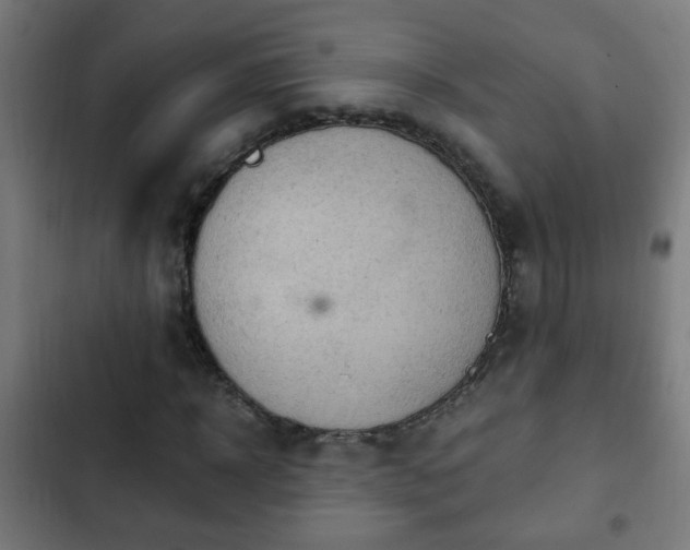 X0000103130918200808291312