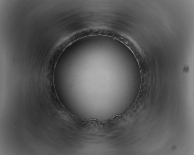 X0000103130919200808291312