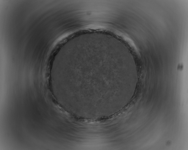 X0000103130920200808291312