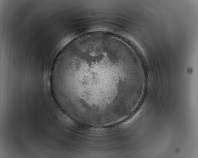 X0000103130921200808291312