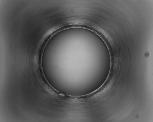 X0000103130922200808291312
