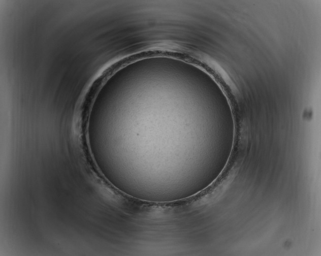 X0000103130923200808291312