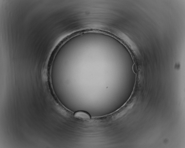 X0000103130924200808291312