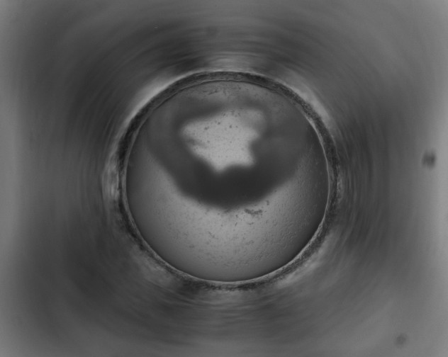 X0000103130925200808291312