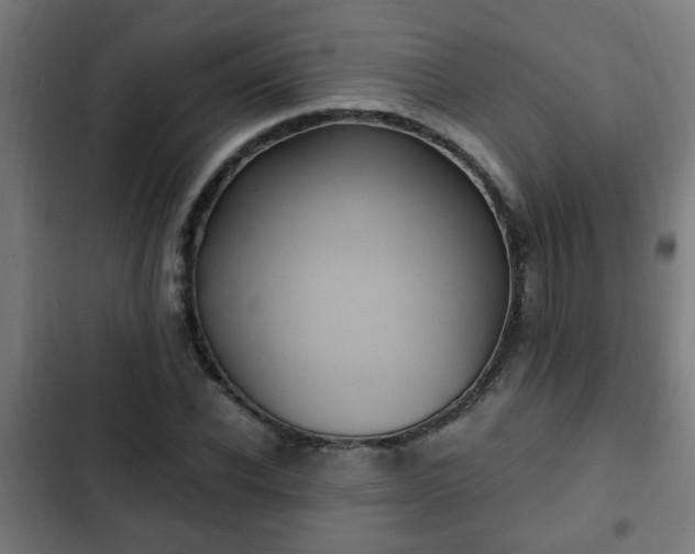 X0000103130926200808291312