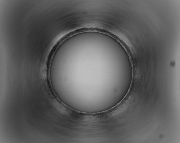 X0000103130927200808291312