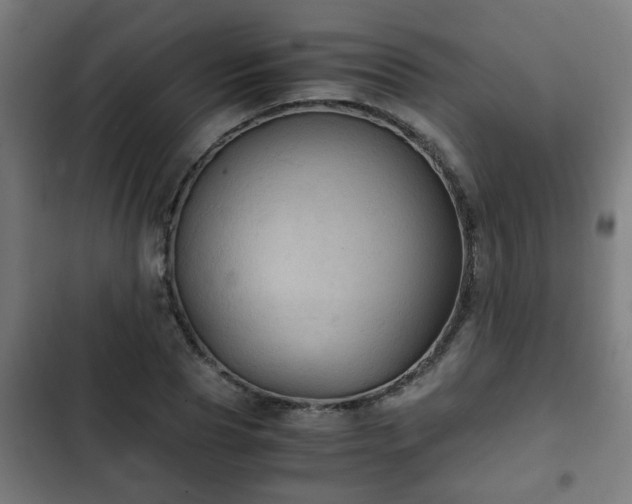 X0000103130929200808291312