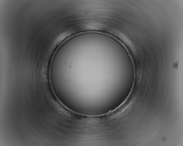 X0000103130930200808291312