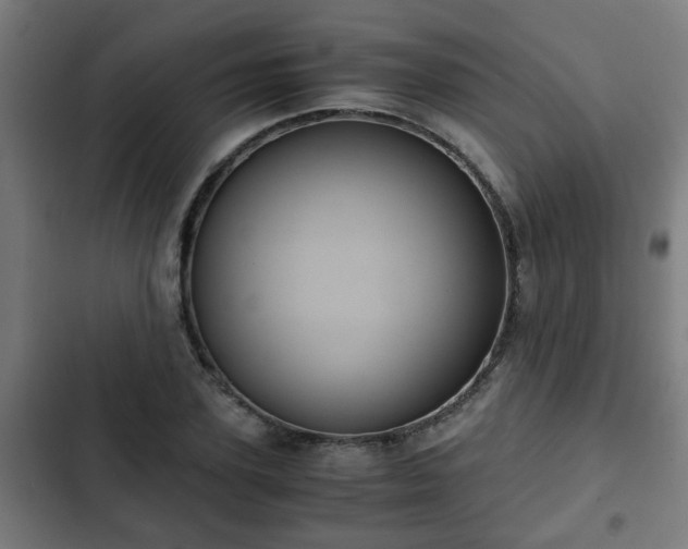X0000103130931200808291312