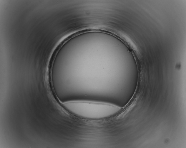 X0000103130932200808291312