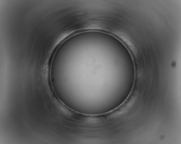 X0000103130933200808291312