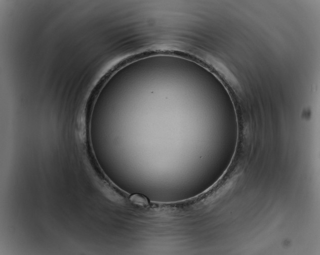 X0000103130934200808291313