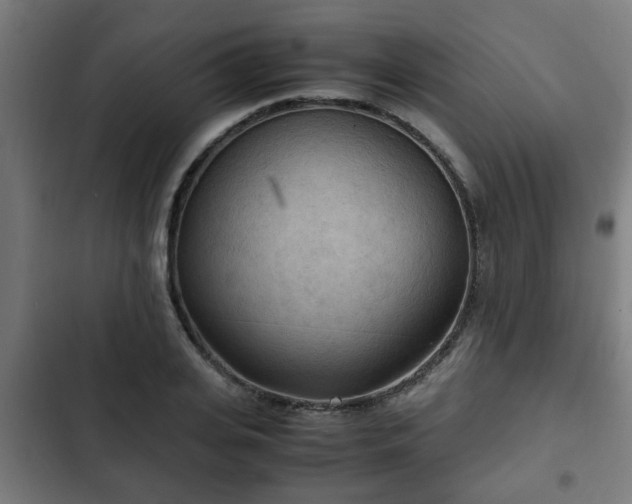 X0000103130935200808291313