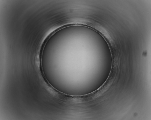 X0000103130936200808291313