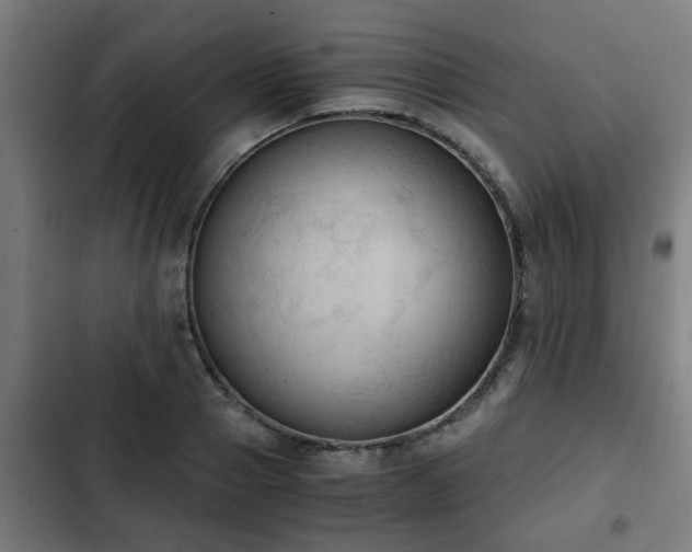 X0000103130937200808291313