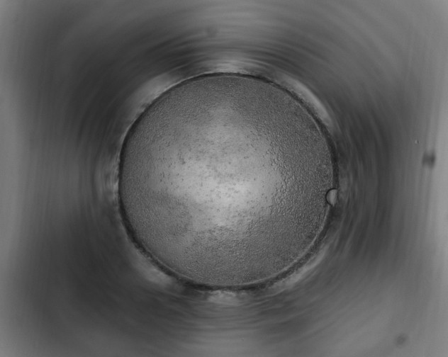 X0000103130938200808291313
