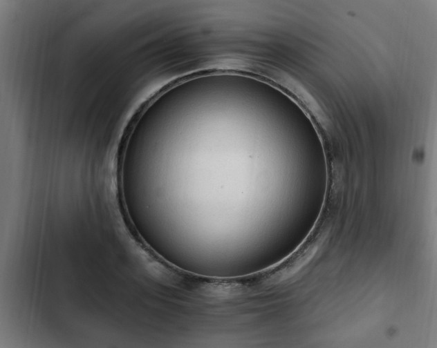 X0000103130939200808291313