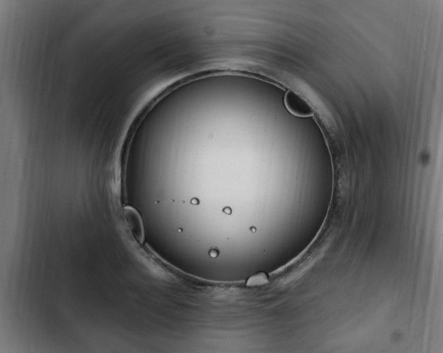 X0000103130940200808291313