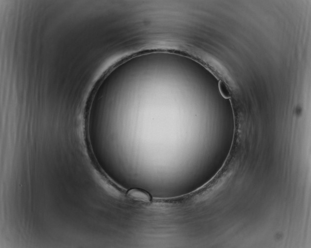 X0000103130942200808291313