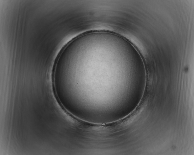 X0000103130943200808291313