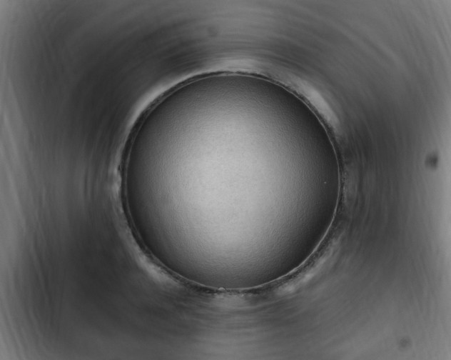 X0000103130944200808291313