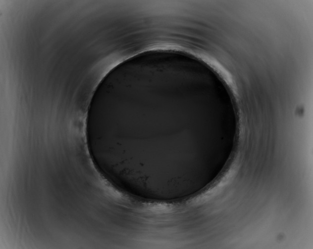 X0000103130945200808291313