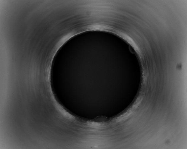 X0000103130946200808291313