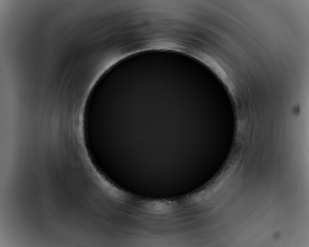 X0000103130947200808291313