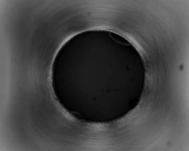 X0000103130948200808291313