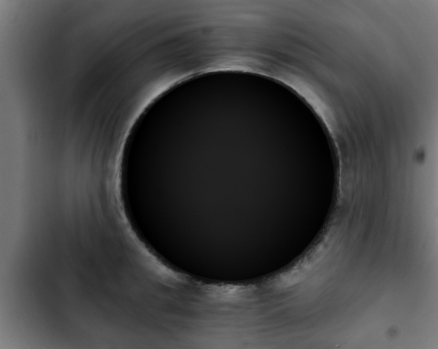 X0000103130949200808291313