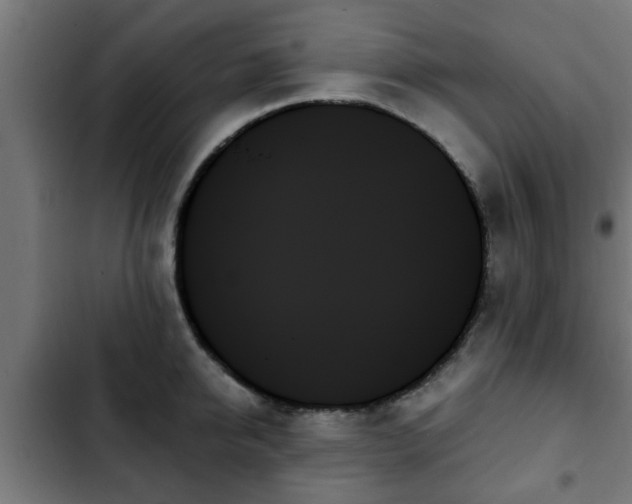 X0000103130950200808291313