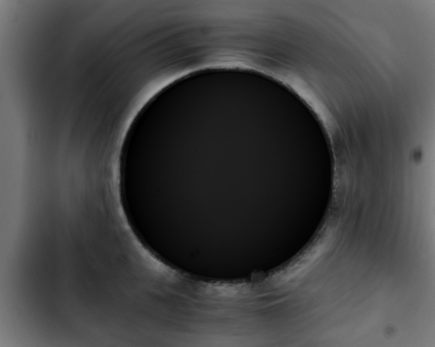 X0000103130951200808291313