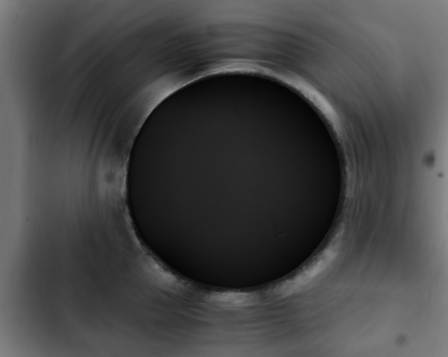 X0000103130953200808291313
