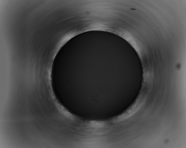 X0000103130954200808291313