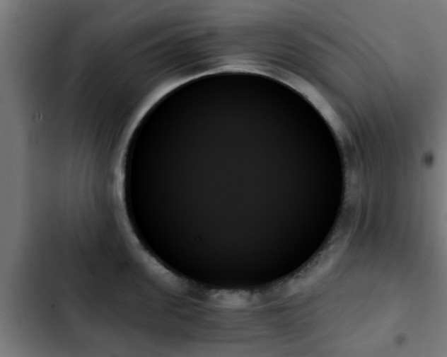 X0000103130955200808291313