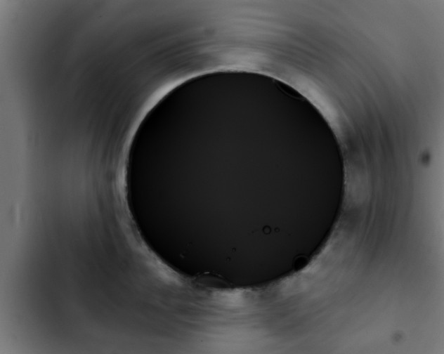 X0000103130956200808291313