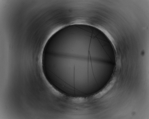X0000103130957200808291313