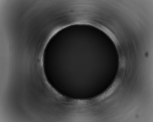 X0000103130958200808291313