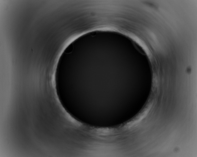 X0000103130959200808291313
