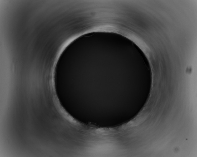 X0000103130960200808291313