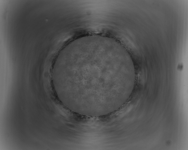 X0000103130961200808291312