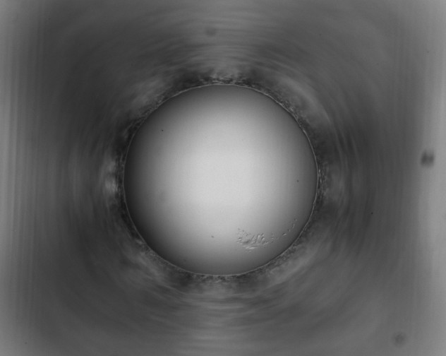 X0000103130962200808291312
