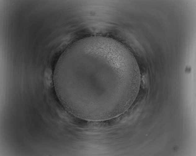 X0000103130963200808291312
