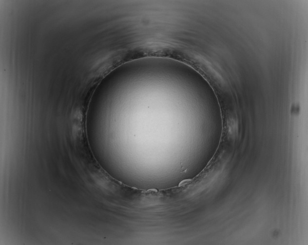 X0000103130964200808291312