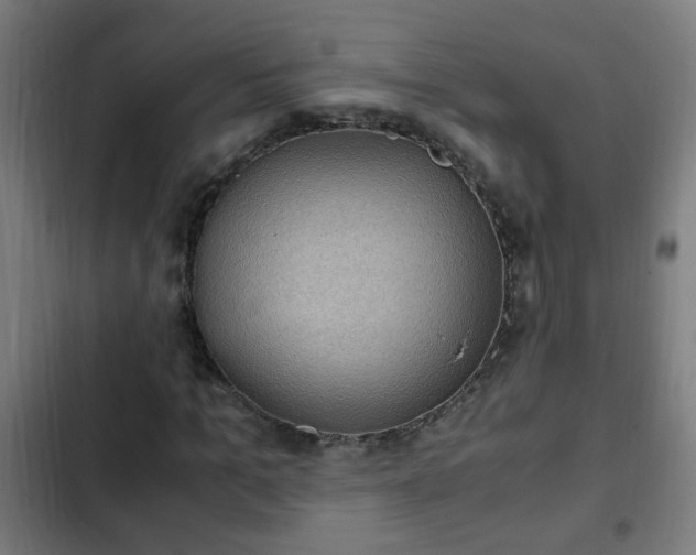 X0000103130965200808291312