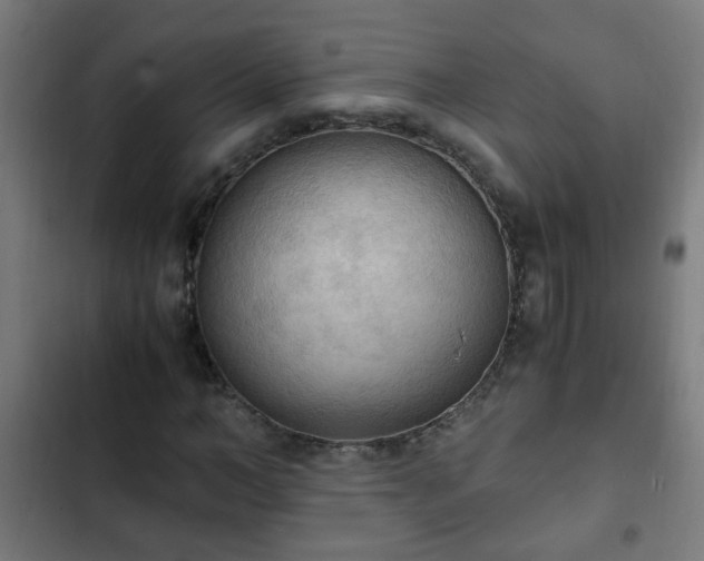 X0000103130966200808291312